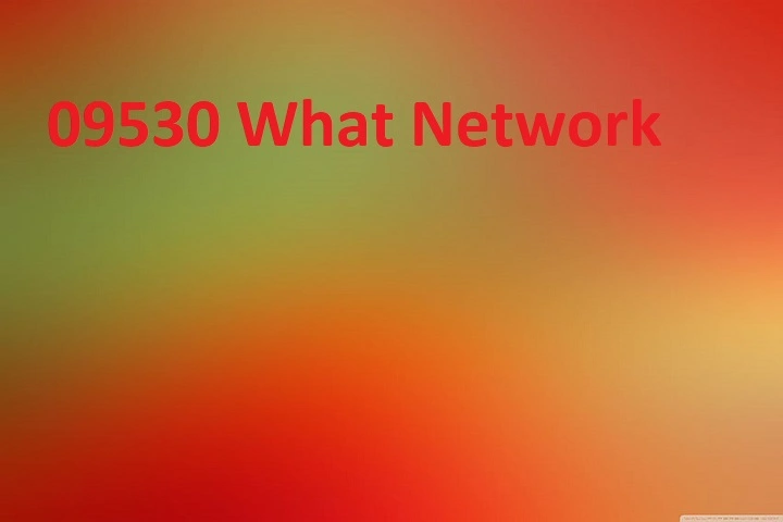 09530 what network