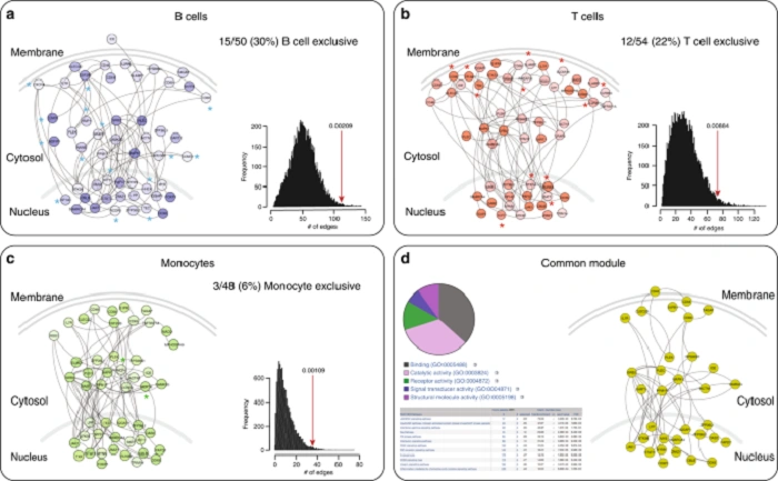 What Does 09773 Represent 1