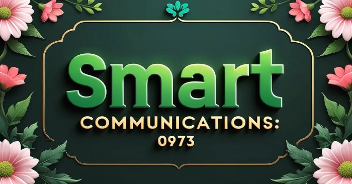Why Asking What Network Is 0973 Matters More Than It Seems
