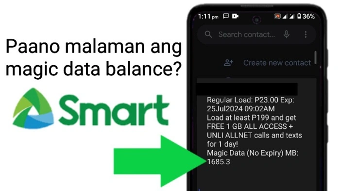 How to Check Your Magic Data 599 Balance