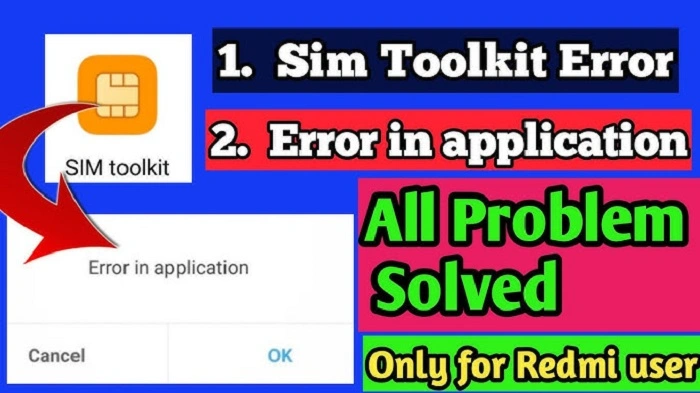 error from application smart sim 1