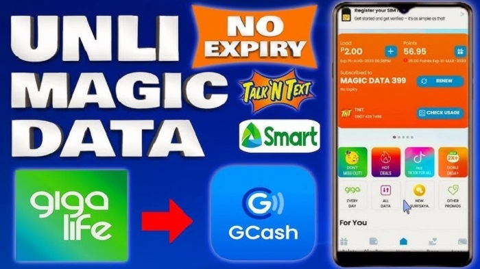 How Often Should You Check Magic Data Balance