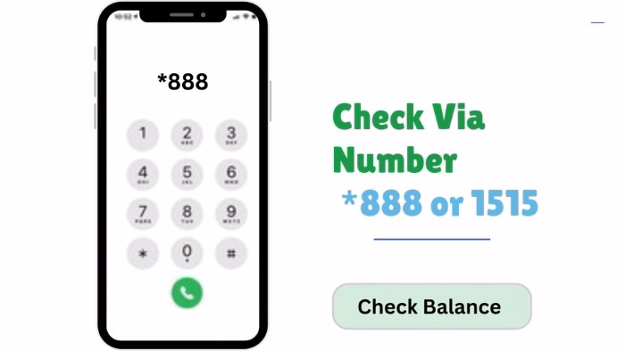 How to Check Your Remaining Magic Data 499 Balance