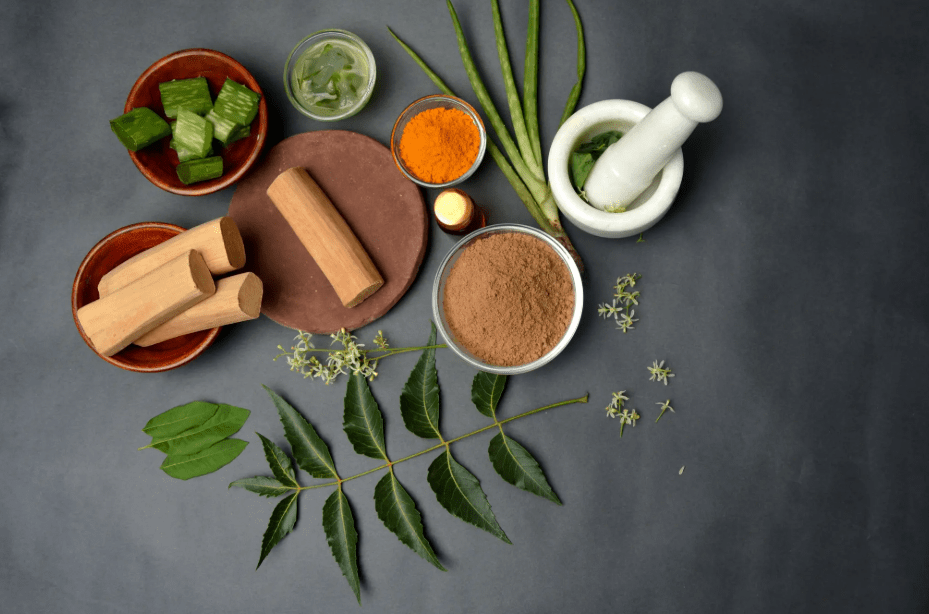 When You Finally talk to an ayurvedic expert Real Healing Stories Practical Tips