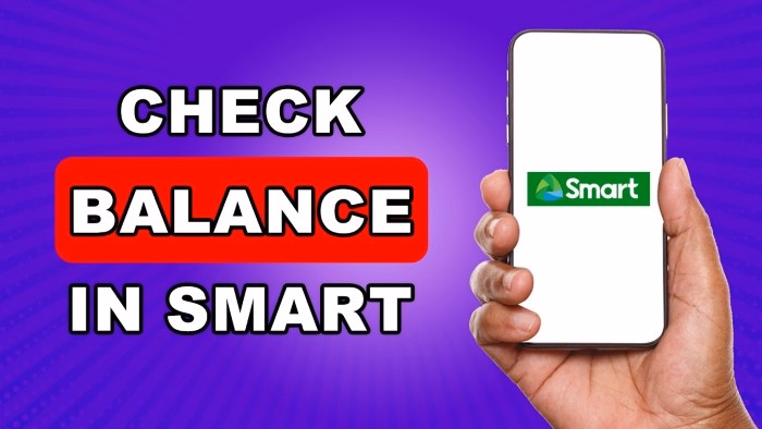 Check Balance Through the Smart App