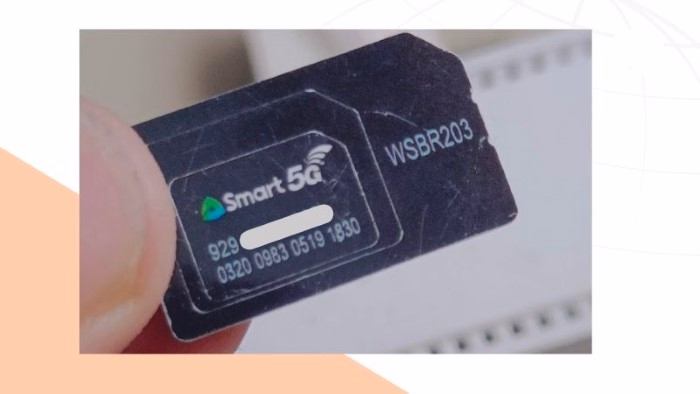 What Is Smart SIM Registration